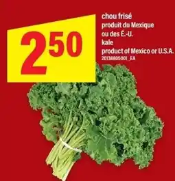 Maxi Kale offer