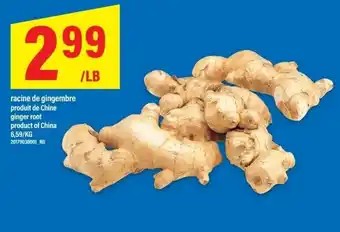 Maxi Ginger Root offer