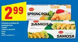 Maxi Samosa or Spring roll frozen offer