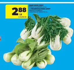 Real Canadian Superstore Baby Bok Choy or Shanghai Bok Choy offer