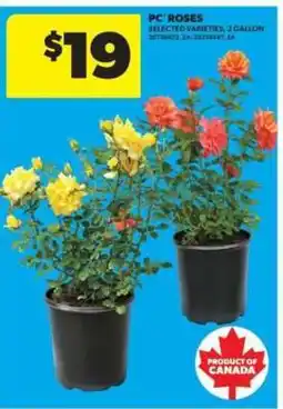 Real Canadian Superstore PC Roses offer