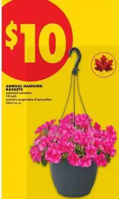 No Frills ANNUAL HANGING BASKETS offer
