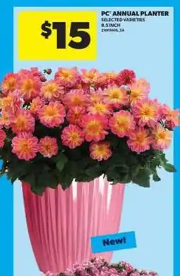 Real Canadian Superstore PC Annual Planter offer