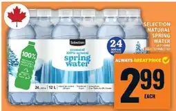 Food Basics SELECTION NATURAL SPRING WATER offer