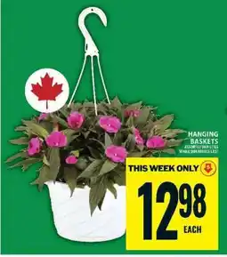 Food Basics Hanging Baskets offer
