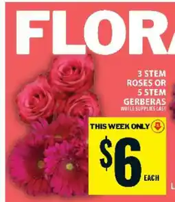 Food Basics 3 Stem Roses or 5 Stem Gerberas offer