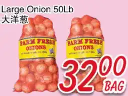 Foody Mart Large Onion 50Lb offer