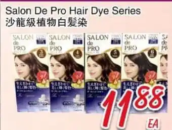 Foody Mart Salon De Pro Hair Dye Series offer
