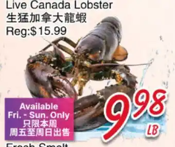 Foody Mart Live Canada Lobster offer