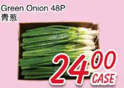 Foody Mart Green Onion 48P offer