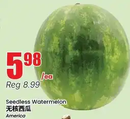 Btrust Supermarket Seedless Watermelon offer