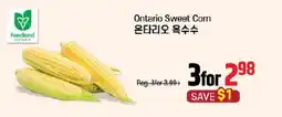 Galleria Supermarket Ontario Sweet Corn offer