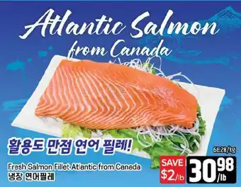 Galleria Supermarket Fresh Salmon Fillet Atlantic from Canada offer