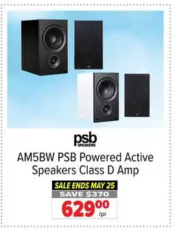 2001 Audio Video AM5BW PSB Powered Active Speakers Class D offer