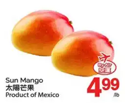 T&T Supermarket SUN MANGO offer