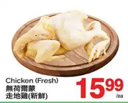T&T Supermarket CHICKEN offer