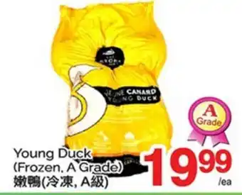 T&T Supermarket YOUNG DUCK offer