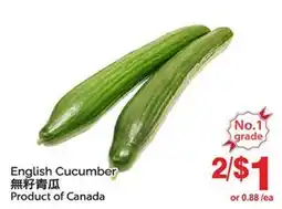 T&T Supermarket ENGLISH CUCUMBER offer