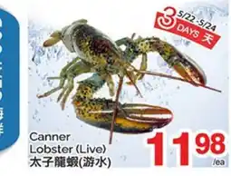 T&T Supermarket CANNER LOBSTER offer