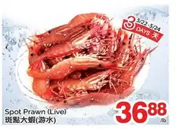 T&T Supermarket SPOT PRAWN offer