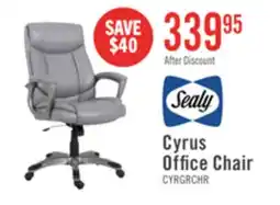 The Brick Sealy Cyrus 25.8 Office Chair - Grey offer