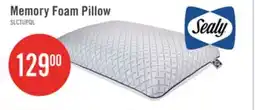 The Brick Sealy Memory Foam Pillow offer