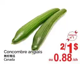 T&T Supermarket CONCOMBRE ANGLAIS offer