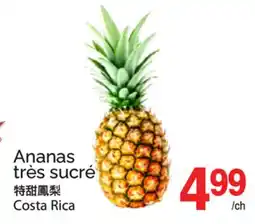 T&T Supermarket ANANAS TRÈS SUCRÉ offer