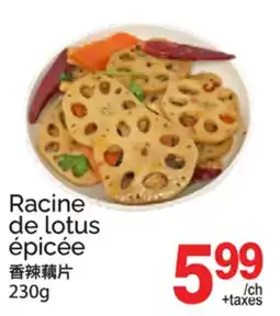 T&T Supermarket RACINE DE LOTUS ÉPICÉE offer