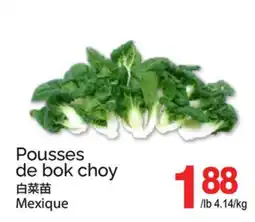 T&T Supermarket POUSSES DE BOK CHOY offer