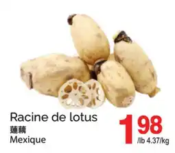 T&T Supermarket RACINE DE LOTUS offer