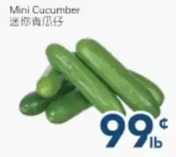 Oceans Fresh Food Market Mini Cucumber offer