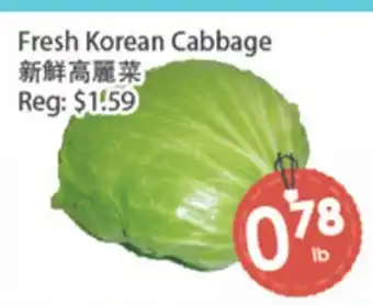 Fresh Palace Supermarket Fresh Korean Cabbage offer