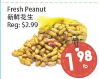 Fresh Palace Supermarket Fresh Peanut offer