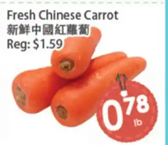 Fresh Palace Supermarket Fresh Chinese Carrot offer