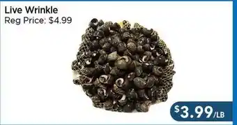 Blue Sky Supermarket Live Wrinkle offer