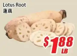 WinCo Food Mart Lotus Root offer