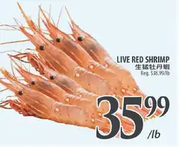Al Premium Food Mart LIVE RED SHRIMP offer