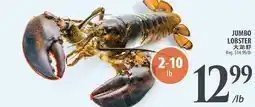 Al Premium Food Mart JUMBO LOBSTER offer