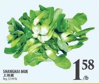 Al Premium Food Mart SHANGHAI MUE offer
