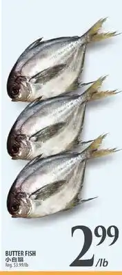 Al Premium Food Mart BUTTER FISH offer