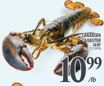 Al Premium Food Mart CANADIAN LOBSTER offer