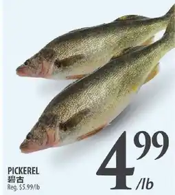 Al Premium Food Mart PICKEREL offer