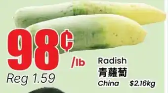 Terra Foodmart Radish offer
