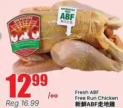 Terra Foodmart Fresh ABF Free Run Chicken offer