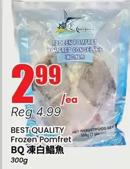 Terra Foodmart BEST QUALITY Frozen Pomfret offer