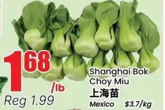 Terra Foodmart Shanghai Bok Choy Miu offer