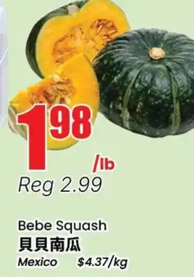 Terra Foodmart Bebe Squash offer