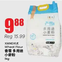 Terra Foodmart XIANGXUE Wheat Flour offer