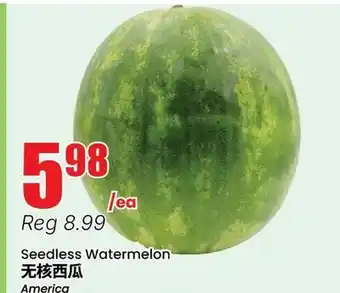 Terra Foodmart Seedless Watermelon offer